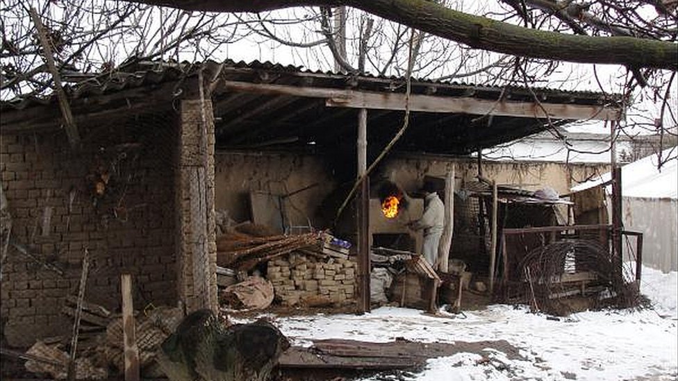 Hamster rus jinsiy aloqa kamerada