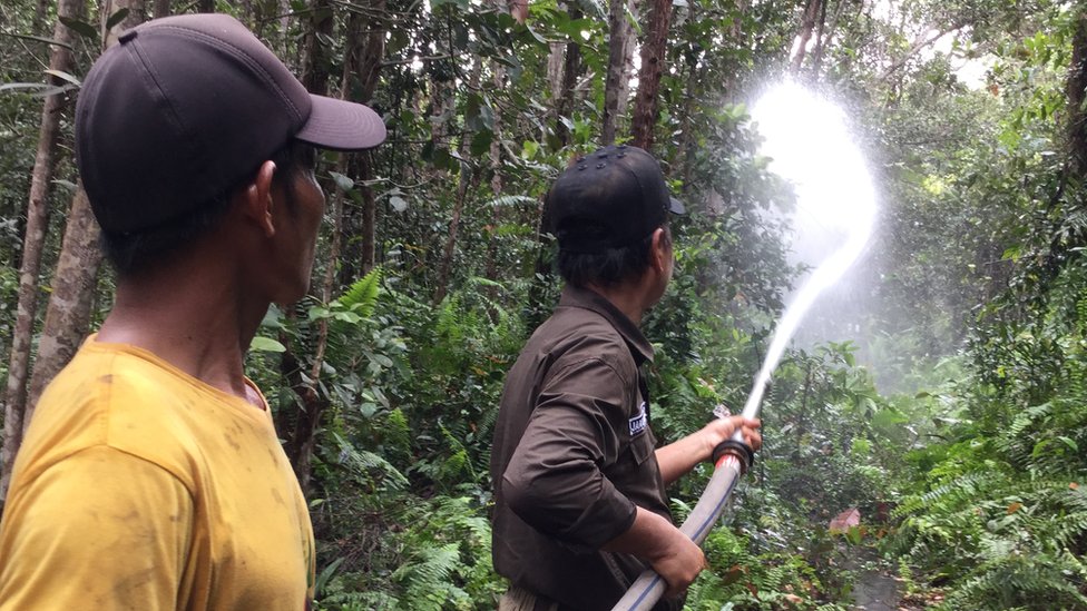 jumpun pambelom, kalimantan tengah