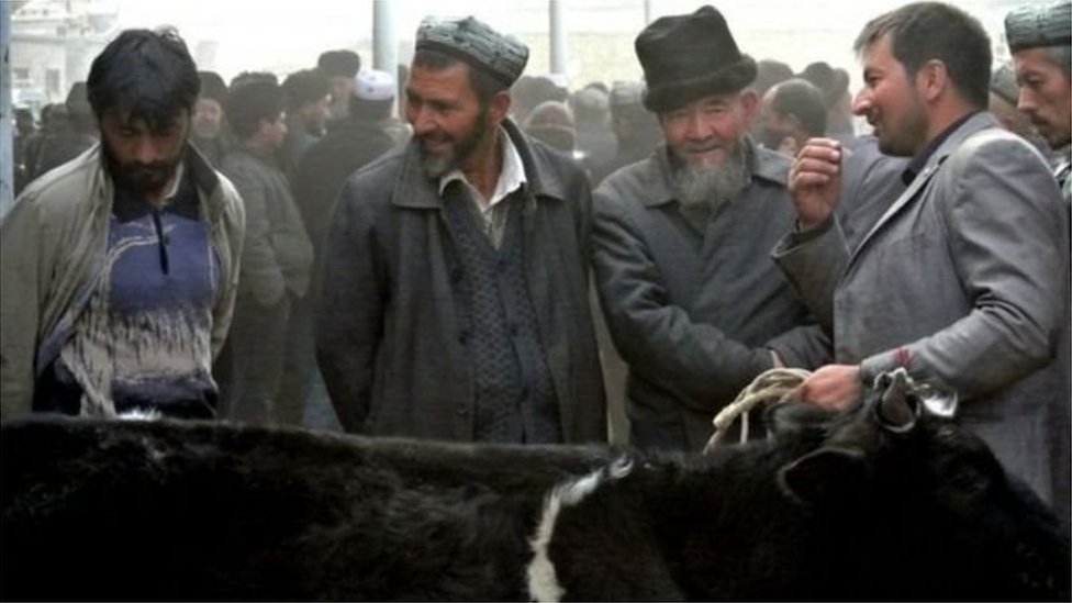 Porno aktyorlar royxati