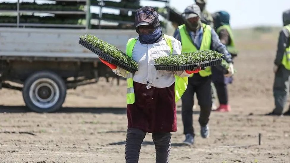 Rus uy qurilishi orgazm porno onlayn