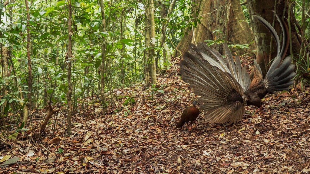 Шетелдік порно жұлдыздардың есімдері