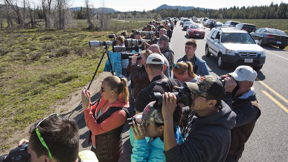 Turistas en el parque Grand Teton.