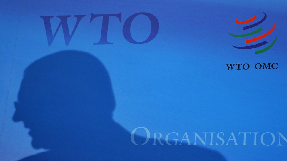 Курсовая работа по теме Последствия и условия вступления России в ВТО