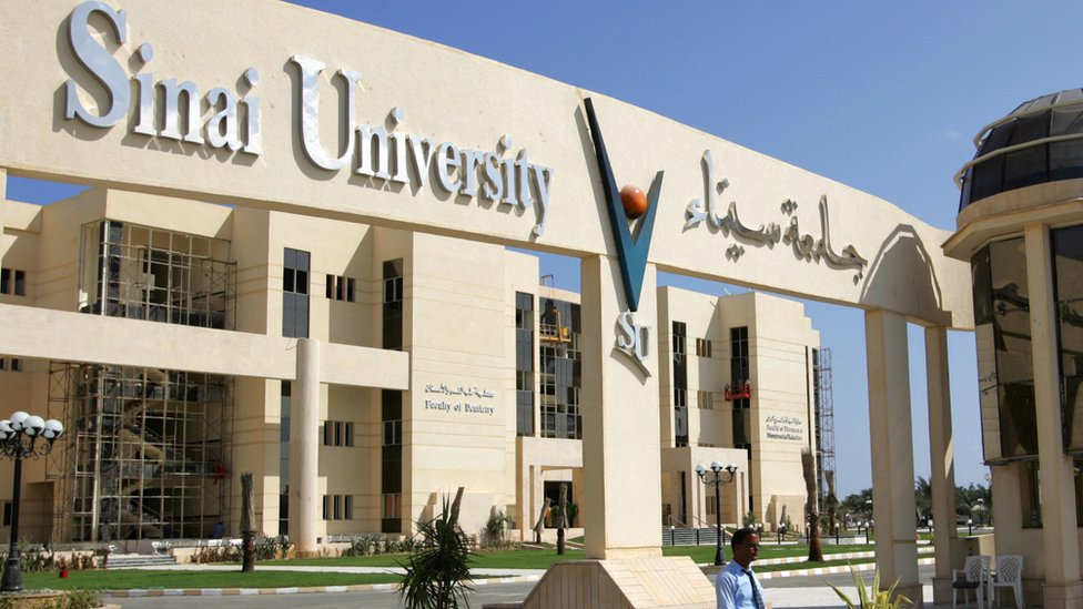 جامعة سيناء