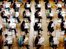 University admissions overhaul call