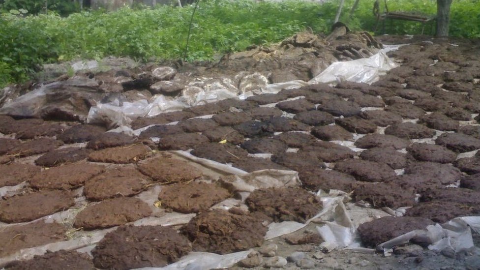 Qiziqarli gey porno Birinchi marta eshakdagi yigitni sikish