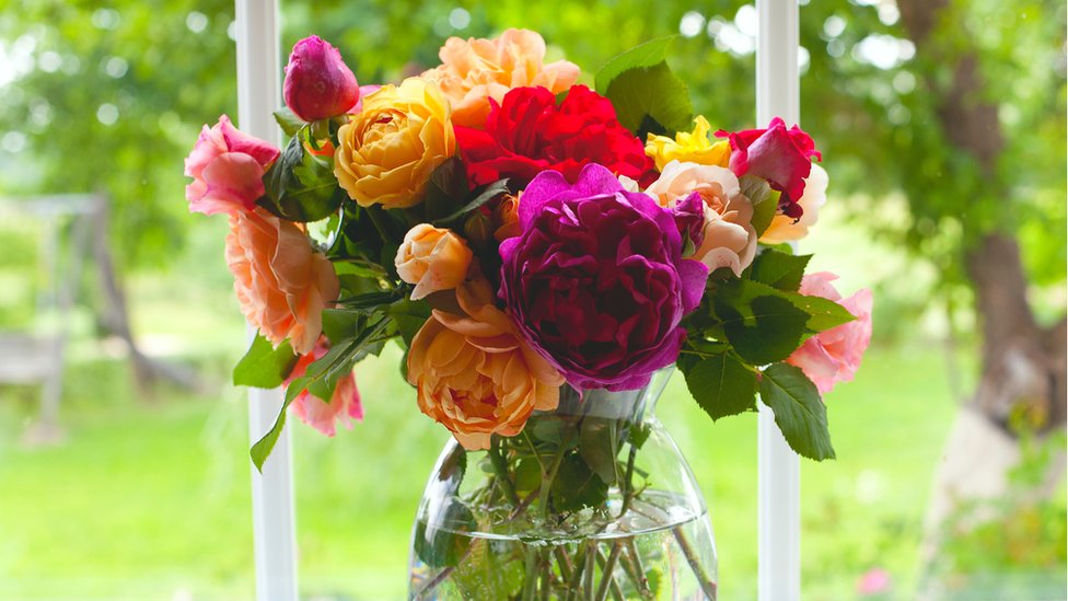 Flores
