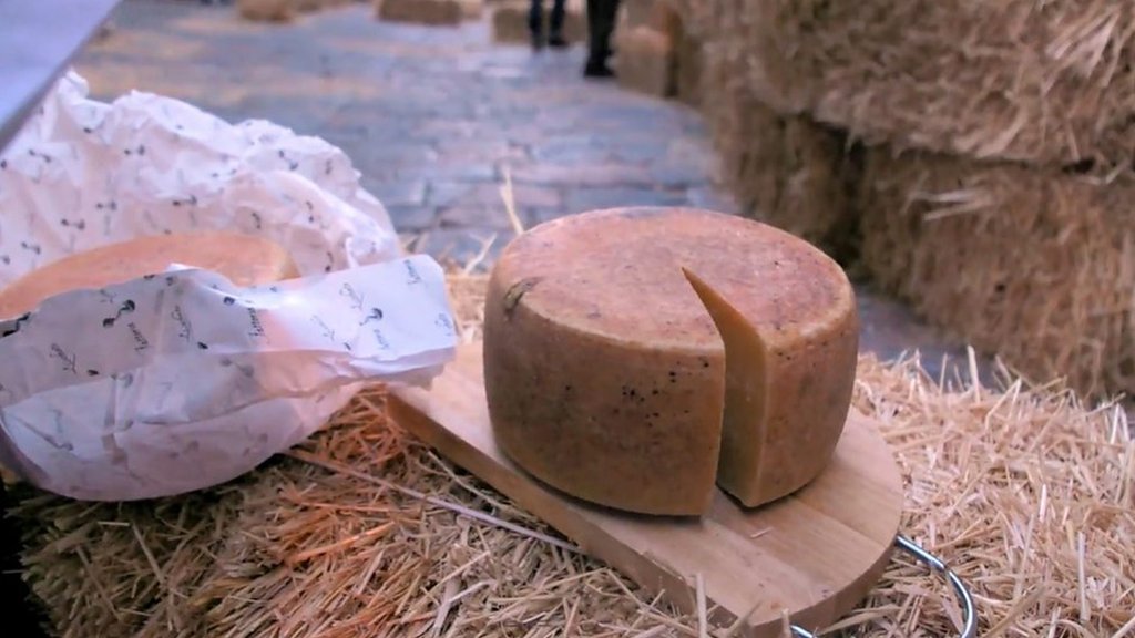 Ready set, gouda! Check out this Italian cheese rolling festival CBBC