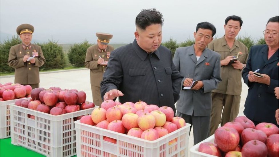 Kim Jong Un visita una granja como parte de sus actividades