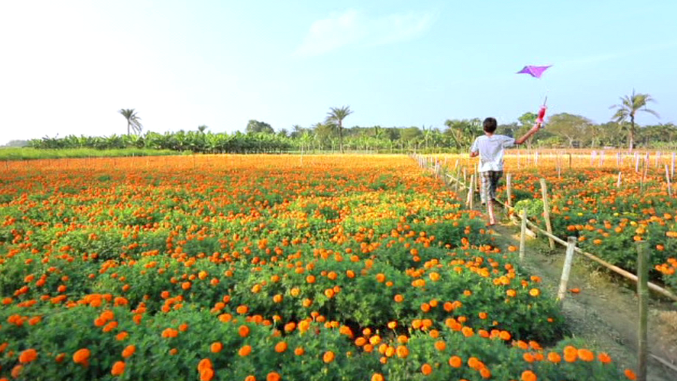 Vladimir fohishalar telefon raqami