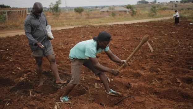 Agricultores en Zimbabue