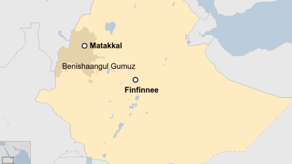 Tranny porno tomosha Veb-kamerada sexy striptiz