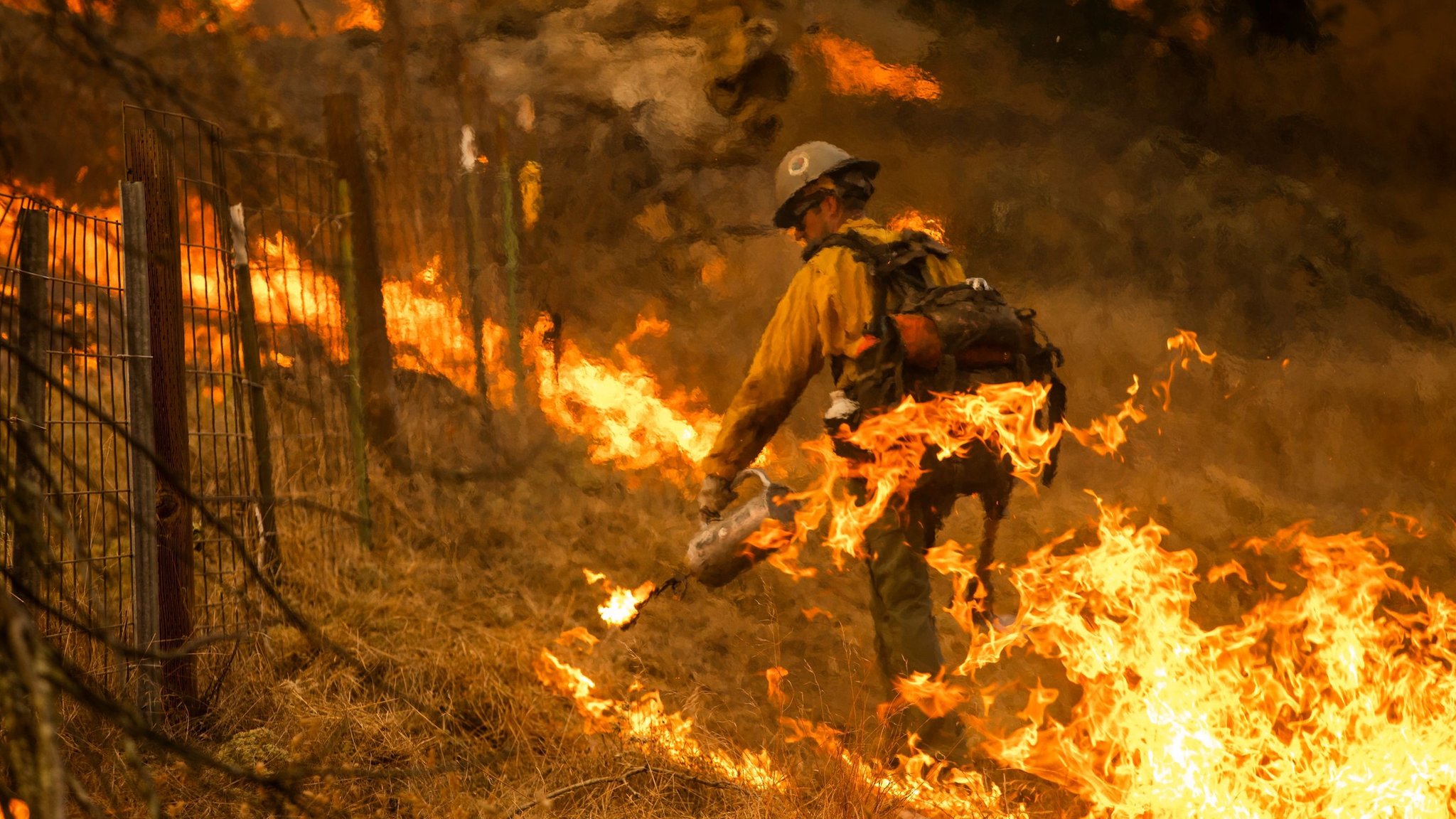 Incendio en California: las consecuencias de los devastadores fuegos que llevaron a declarar la emergencia en todo el estado - BBC News Mundo