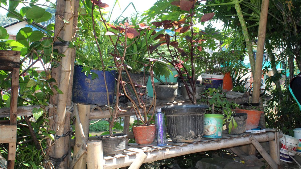 Kampung Tongkol