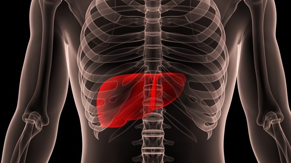 Ogil va ona haqida jinsiy aloqa video