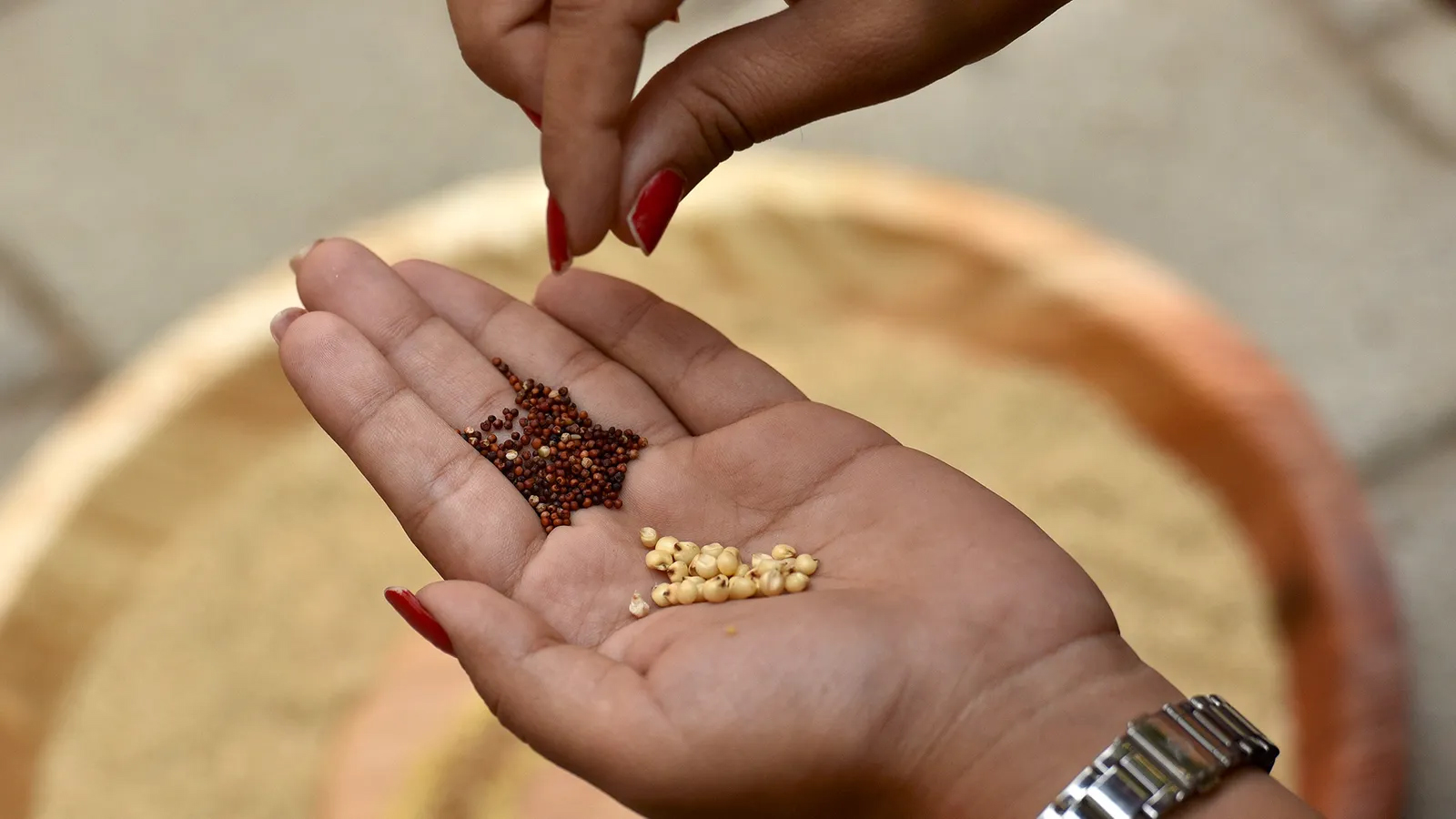 A alimentação vegetariana na infância é, além de possível