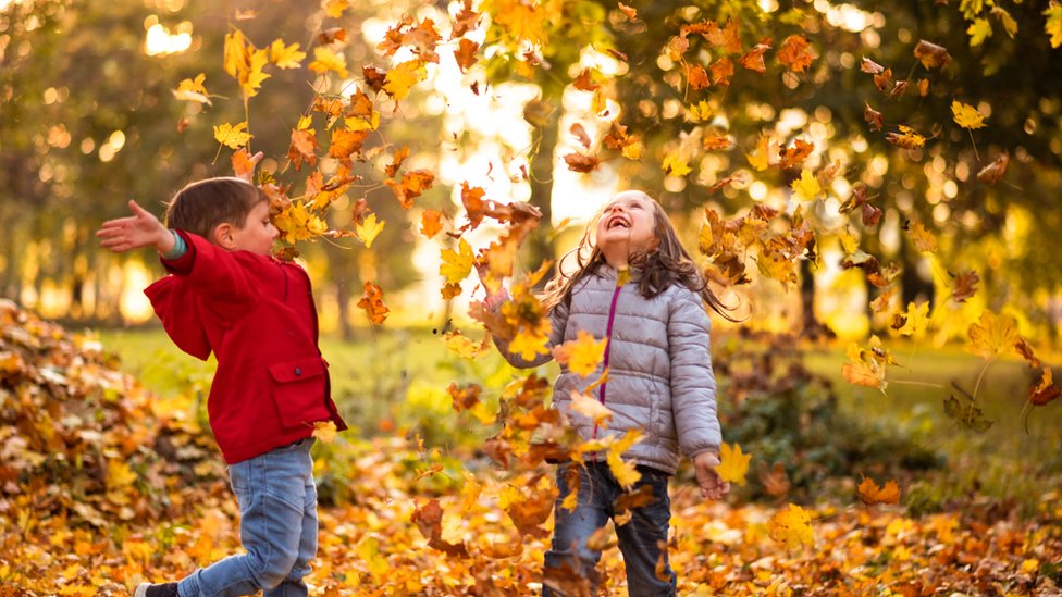 Warm weather this year means autumn leaves could be extra special - CBBC  Newsround