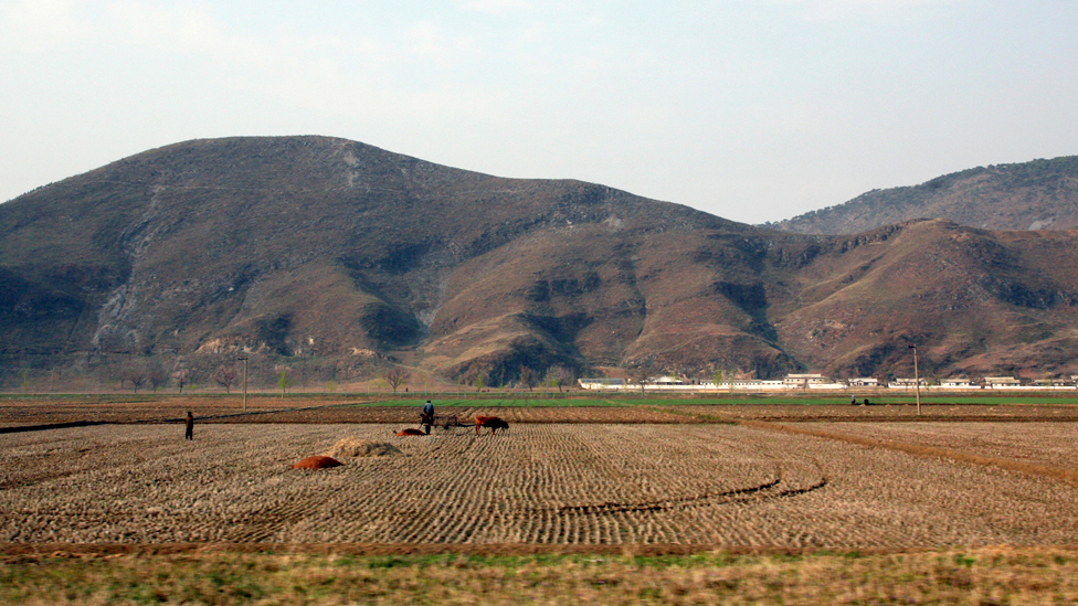 pyongyang, korut, kim il-sung, korea utara