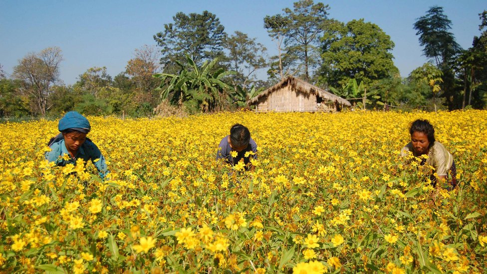 Braziliyalik lezbiyen oyoq fetishi
