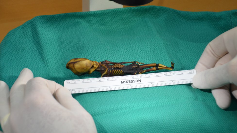 un esqueleto momificado