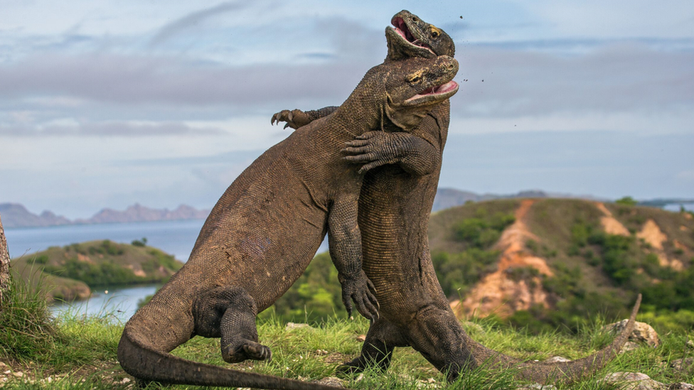 Svinger realiti-shou porno Katta jinsiy olatni uchun jinsiy pozitsiyalar