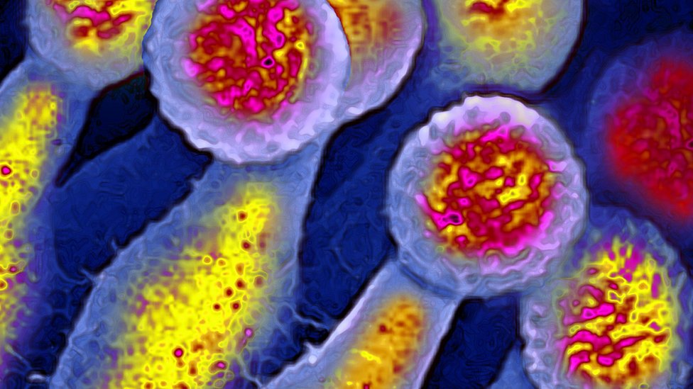 90 years since discovery of penicillin Sir Alexander Fleming's great