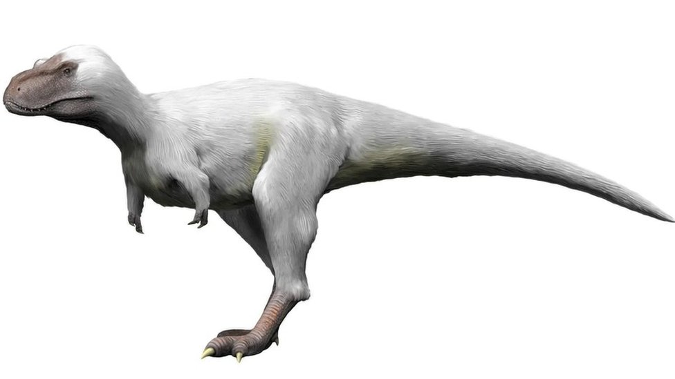 Cómo eran los dinosaurios polares y por qué desafían lo que pensábamos  sobre estos gigantescos animales prehistóricos - BBC News Mundo