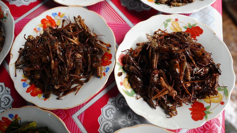 Sajian serangga
