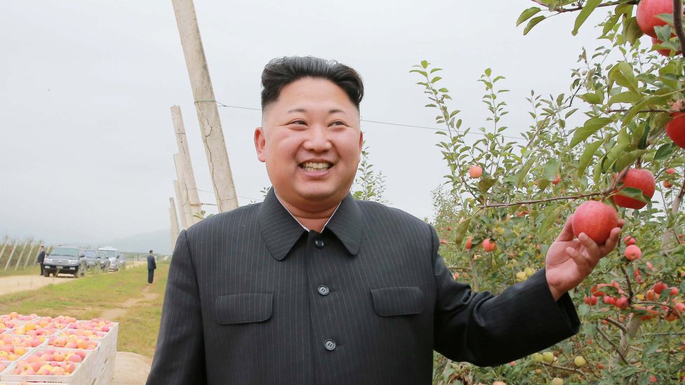 "Толстяк Ким": китайский интернет смеется над лидером КНДР