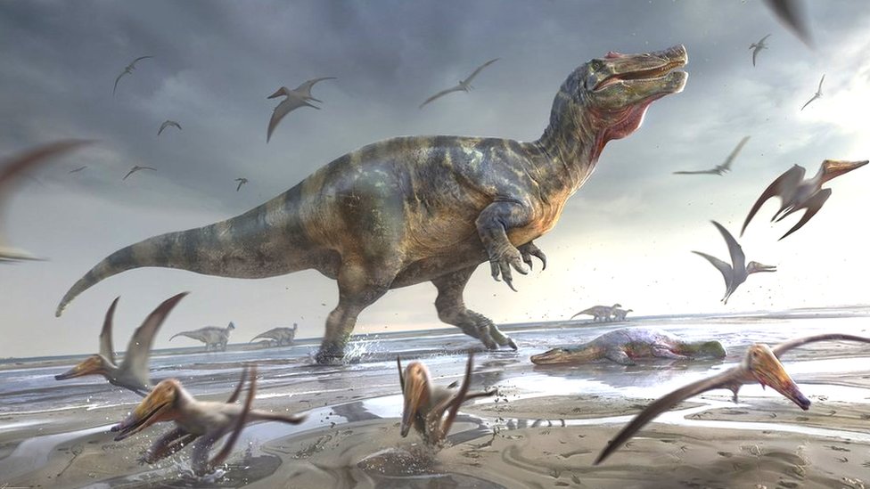 Tiranossauro Rex caminhava surpreendentemente devagar, descobre estudo