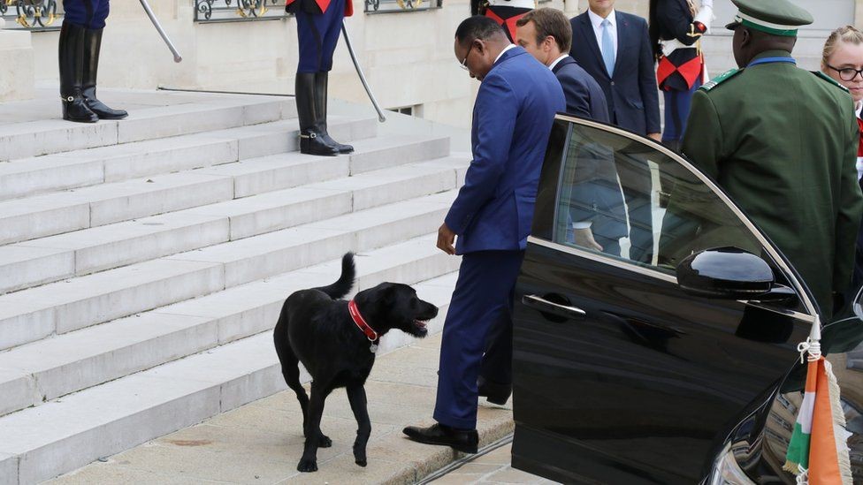 الكلب الأول نيمو في استقبال رئيس النيجر