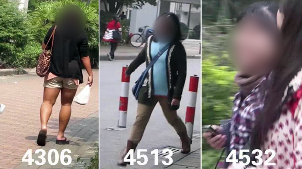 Qanday qilib mushukning chiroyli suratini olish mumkin