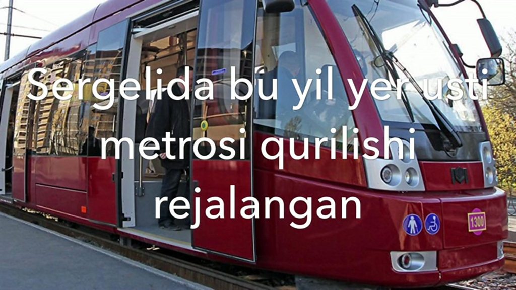 Chiroyli qizlar mushukchalar