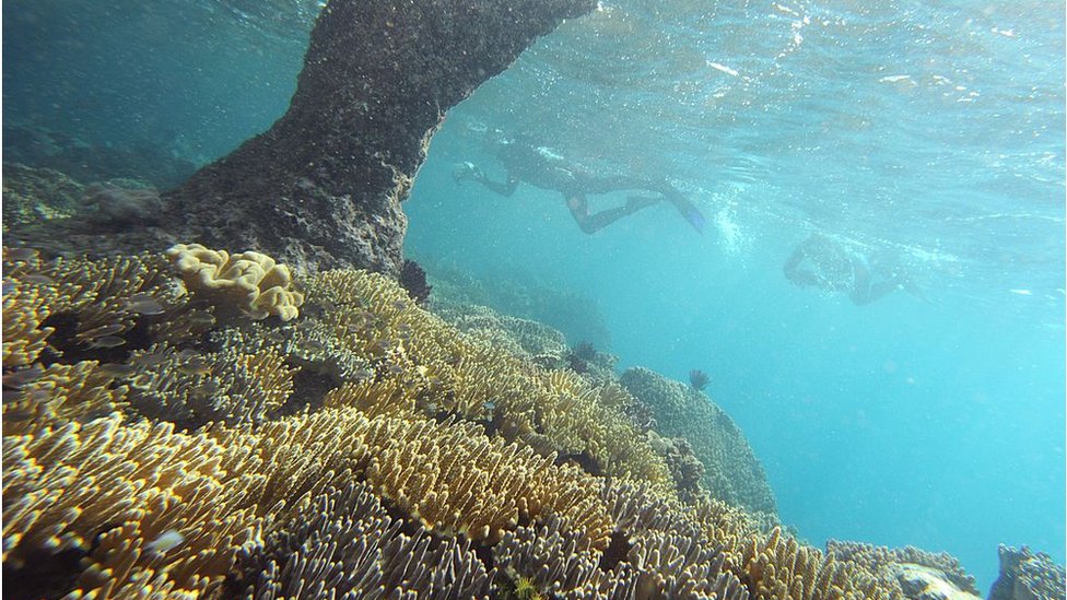 raja ampat