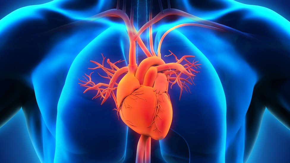 Corazón