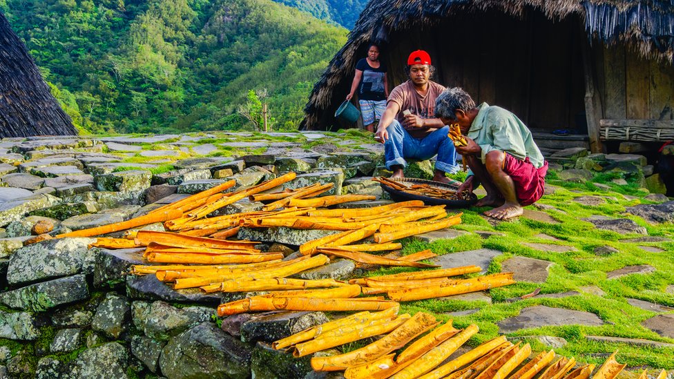 Petani kayu manis Flores di pameran foto kebun internasional di London