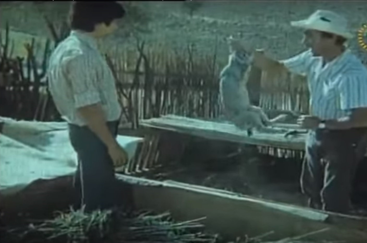 MPL Studio modeli Nelli A Monika Eleonora