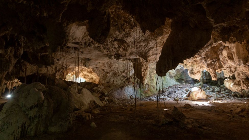 El sistema de cavernas Garra de Jaguar que está situada bajo el tramo 5 del Tren Maya