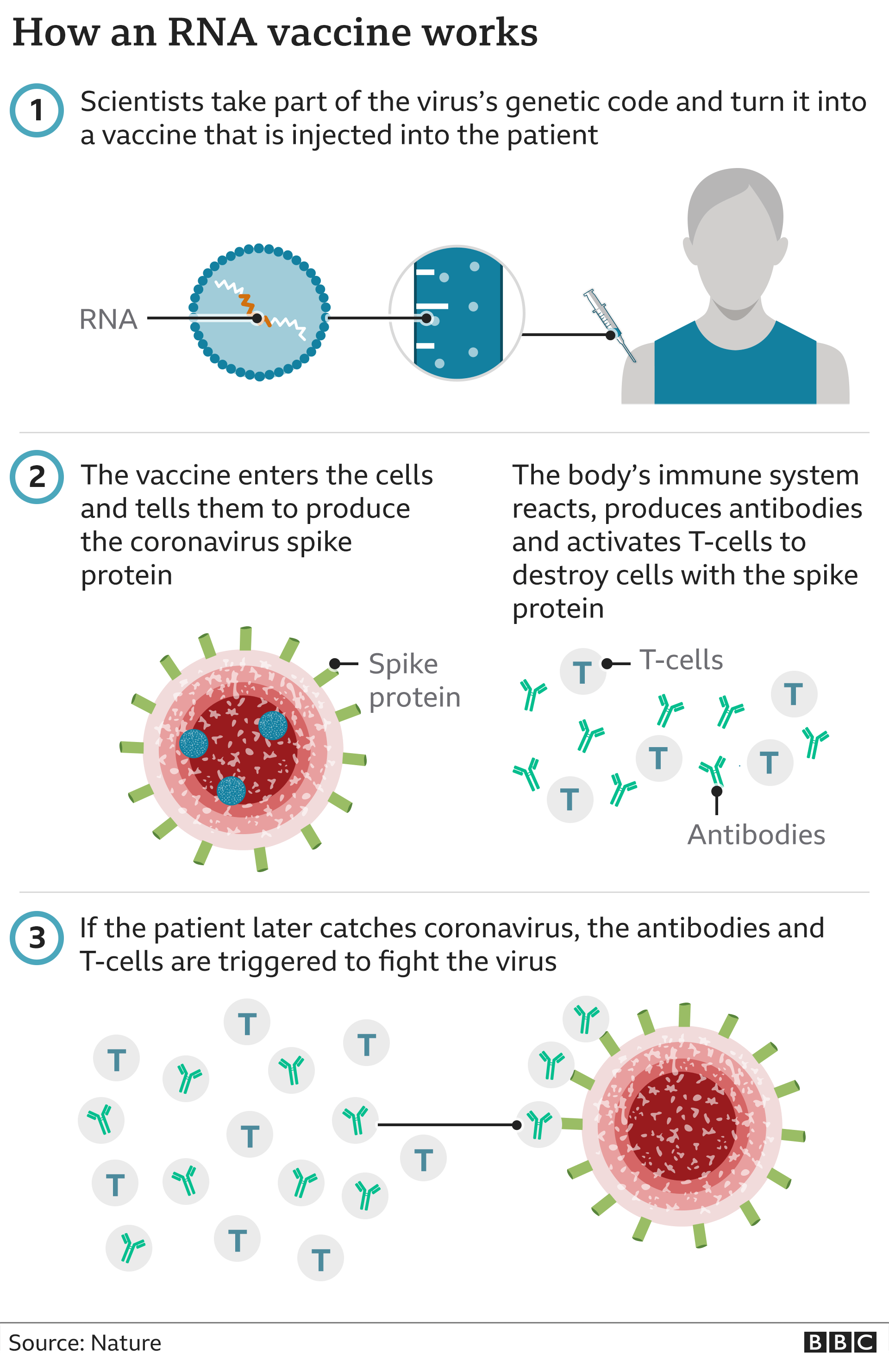 Covid Who Is Getting The Pfizer Vaccine First And When Can I Have It Bbc News