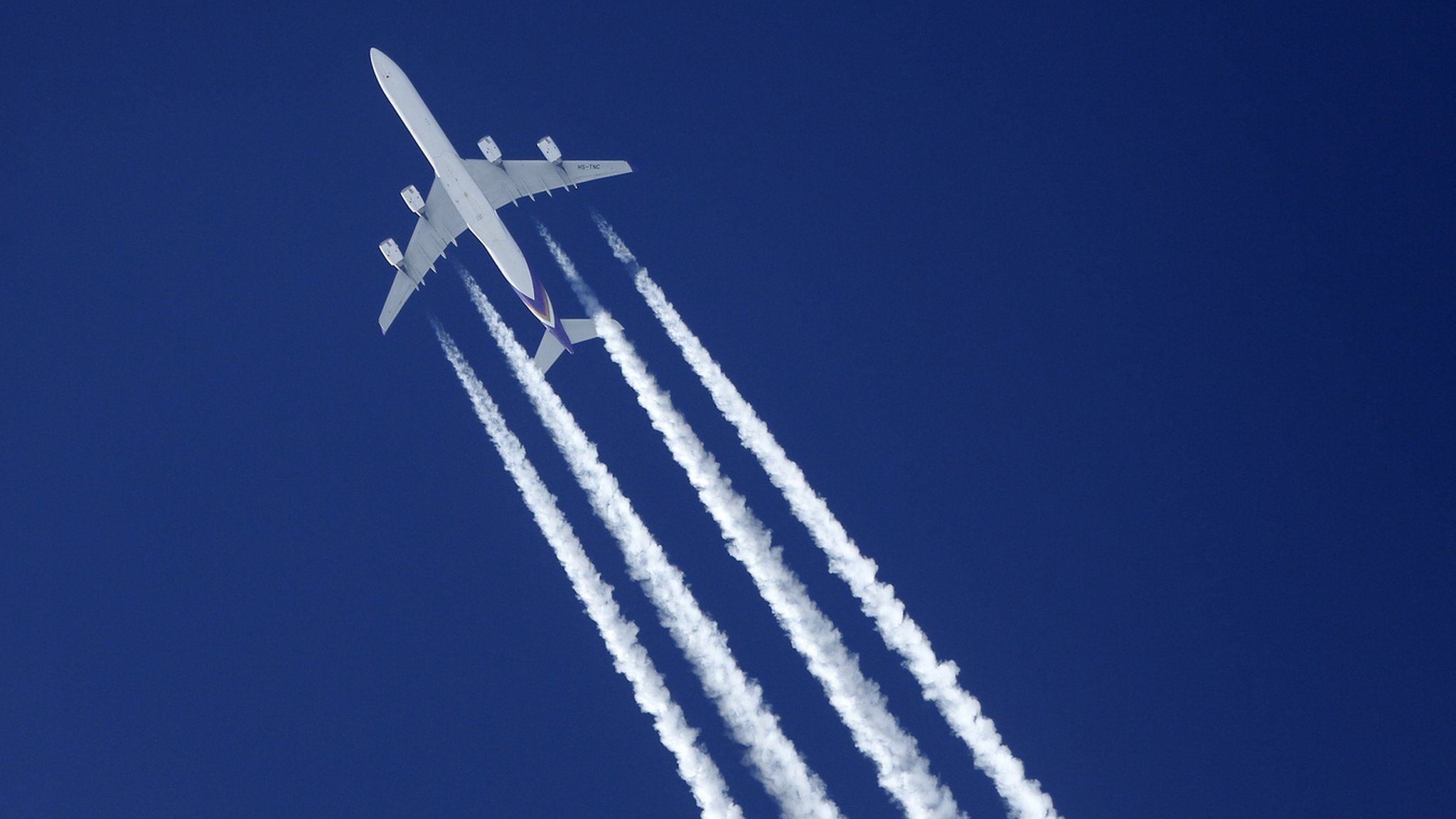 Green flights not in easy reach, warn scientists