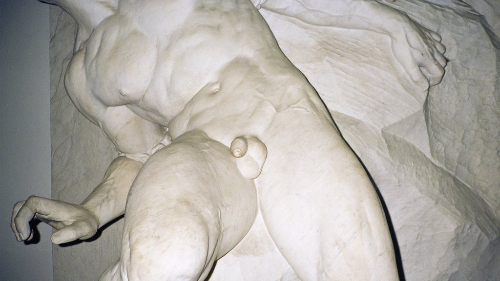 Torso y pene de estatua