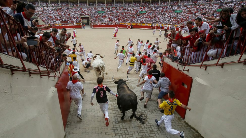 Гуляки бегают с боевыми быками Пуэрто-де-Сан-Лоренцо, когда они выходят на арену во второй день фестиваля «Бег быков в Сан-Фермин»