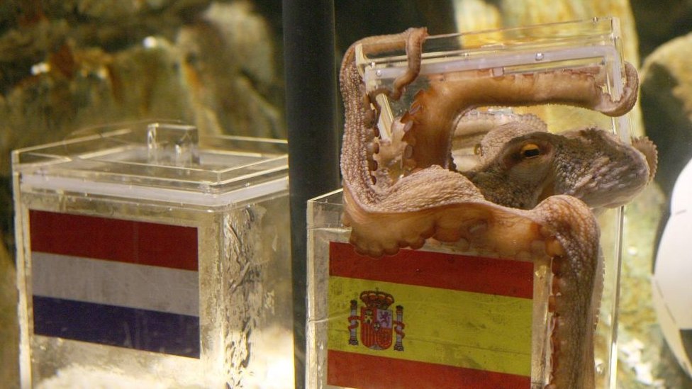 Paul si gurita menjadi peramal saat Piala Dunia 2010.