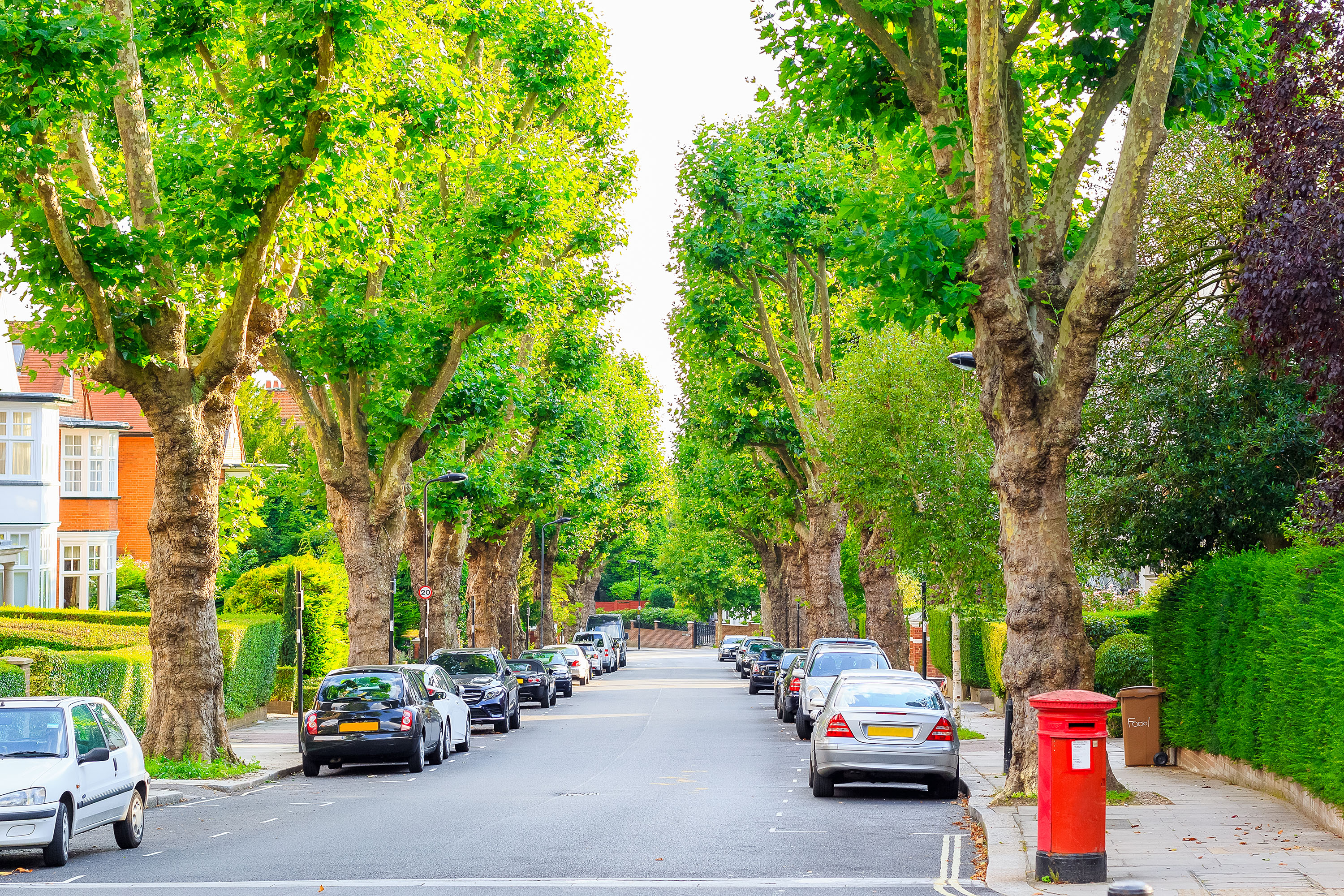 Фотография усаженной деревьями улицы в Камдене на севере Лондона