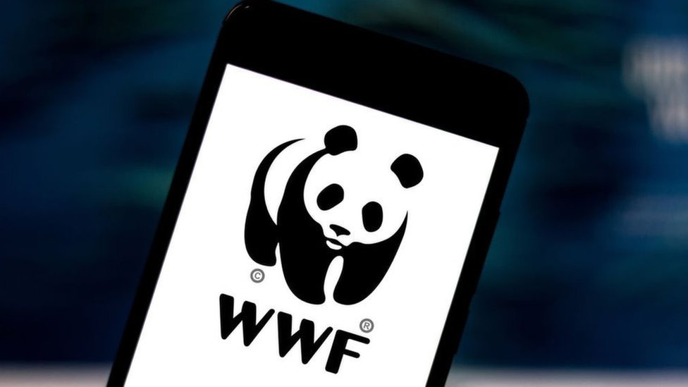 WWF logo on a phone screen
