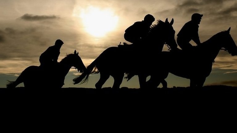 Electric shocks: Trainer Ben Currie charged over 'serious welfare breaches'