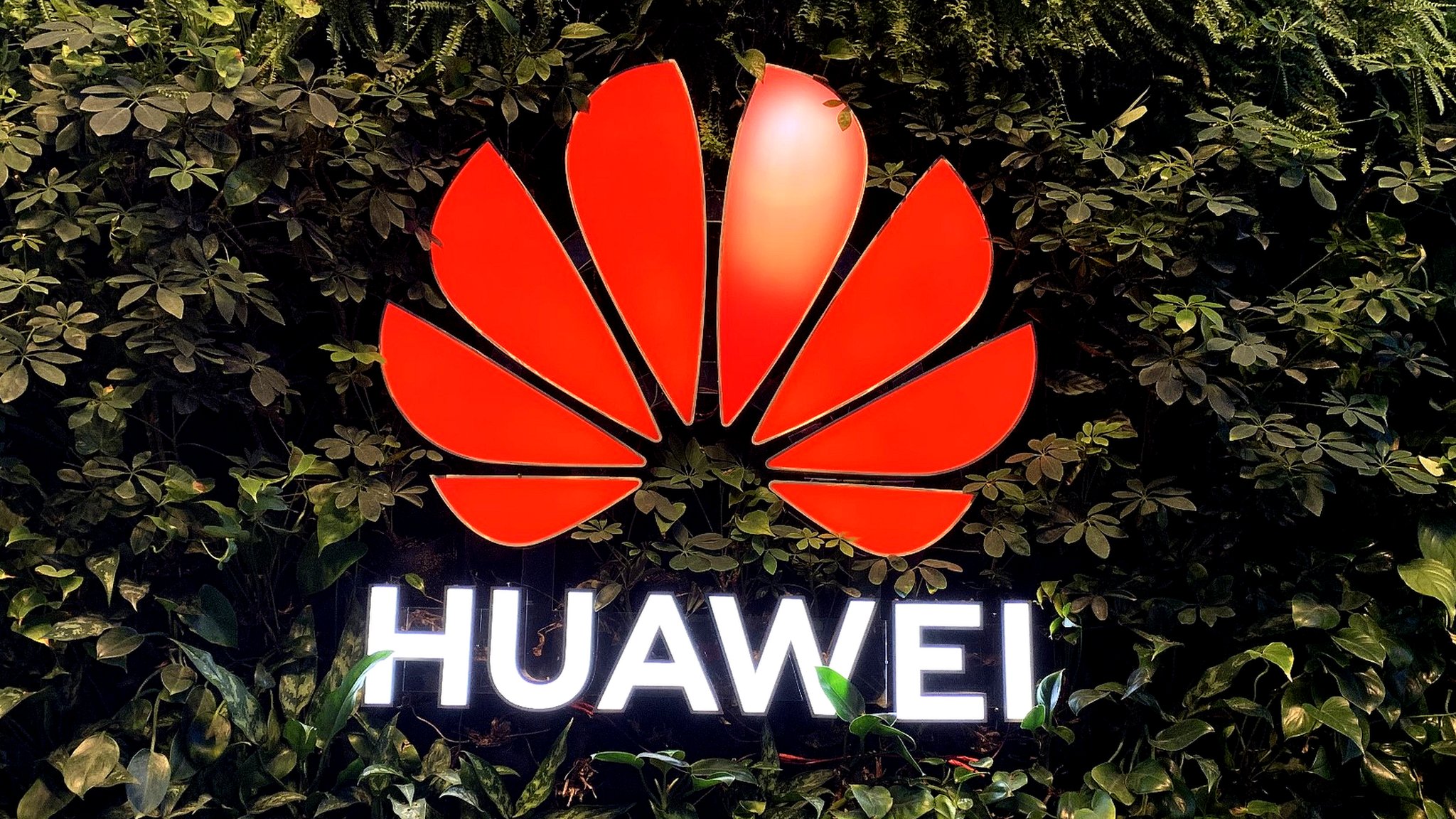 Huawei вакансии. Huawei работа. IP Gala Huawei.