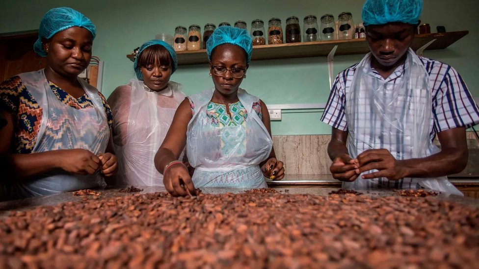 الدولة الأفريقية التي توفر الكهرباء لملايين المنازل من الكاكاو