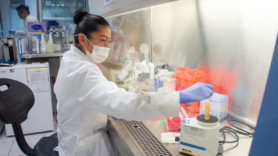 México suspendió la importación de productos avícolas desde Brasil como medida de precaución, informaron las autoridades. Laboratorio en México.