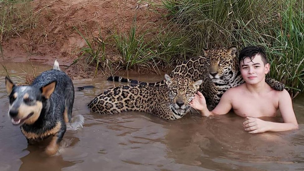 Tiago y los jaguares